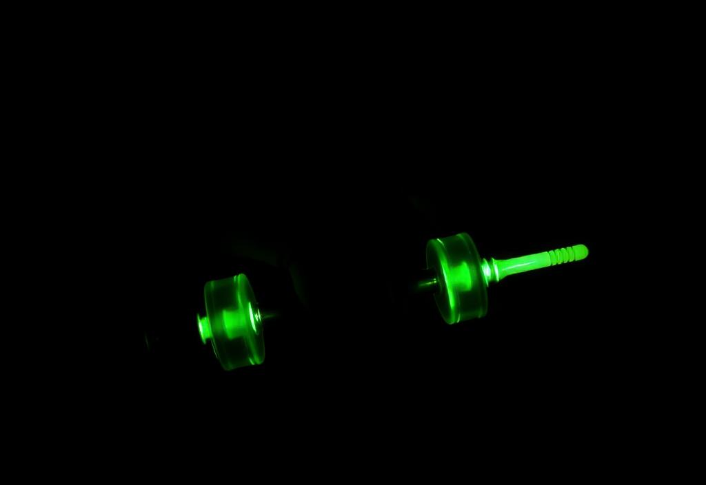 May the 4th Be With Your Weight Loss: Use the Force, Not the Fad